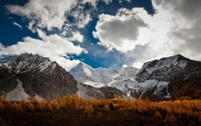 mountains, forest, landscape, nature