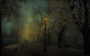 mist, atmosphere, car, dark, walking, landscape