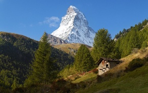 mountains, Matterhorn, trees, Alps, landscape, nature