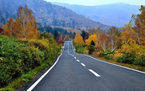 road, landscape