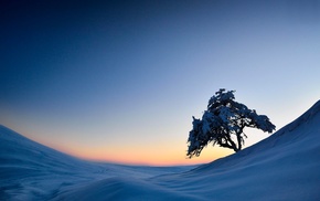 snow, landscape, winter, trees