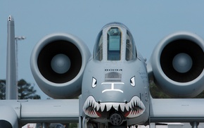 aircraft, chain guns, Fairchild A, 10 Thunderbolt II, closeup, military aircraft