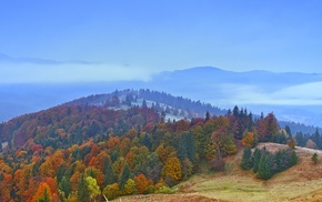 landscape, nature