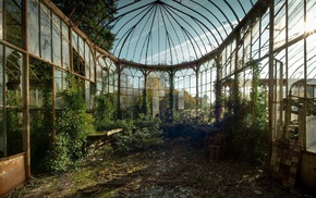 greenhouse, abandoned
