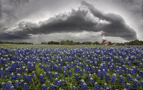 500px, flowers, lightning, Texas, church