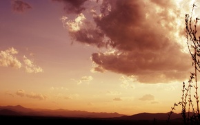 landscape, photography, sunset, plants