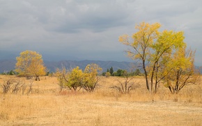 landscape, nature, trees