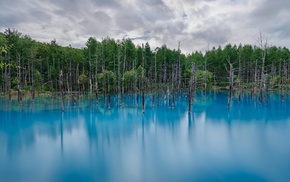 nature, forest, reflection, lake, landscape