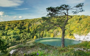 trees, lake, nature, landscape, water