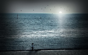 birds, sea, Sun