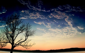 trees, clouds, landscape