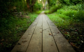 planks, depth of field, nature
