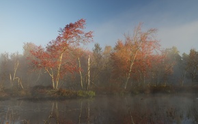 landscape, nature, trees