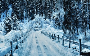 bridge, winter