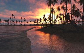 sky, sand, sea, palm trees, beach, tropical