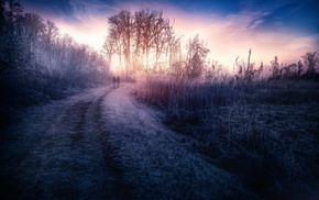 landscape, winter