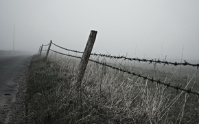 mist, landscape, fence