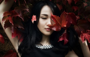 leaves, Asian, model