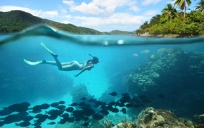 nature, divers, water, girl, bikini, sea