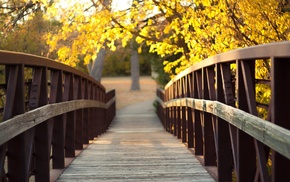 leaves, trees, bridge, wood, river