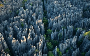 National Geographic, grass, rock, trees