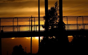 bridge, photography, urban, trees, sunset