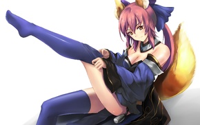 Caster FateExtra, FateExtra, Fate Series