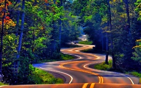 trees, nature, road