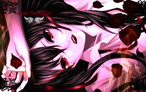 lady Vermilion