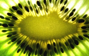National Geographic, kiwi fruit, fruit, seeds, macro