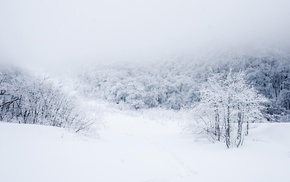 landscape, snow, winter