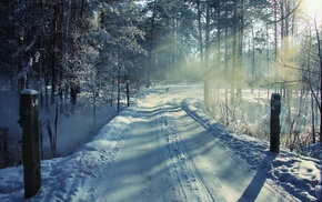 landscape, snow, winter, nature