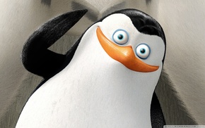cartoon, Penguins of Madagascar, movies
