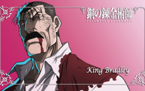 King Bradley, Fullmetal Alchemist Brotherhood, homunculus