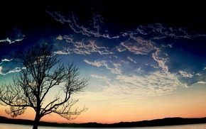 trees, sky