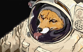 starfox, space, fox