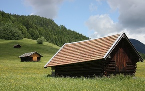 grass, forest, hills, sunlight