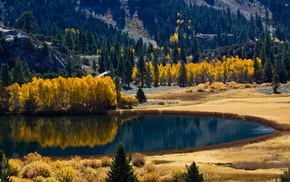 trees, colorful, lake, reflection, nature, landscape