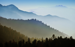 mist, mountains, forest, Mac OS X, OS X