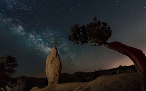 nature, sky, trees, stars