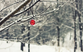 trees, winter, depth of field, branch, snow, Christmas ornaments