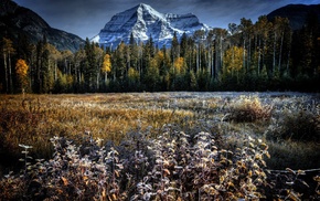 landscape, nature, winter, mountains