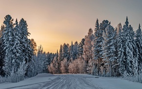 snow, winter, nature, trees