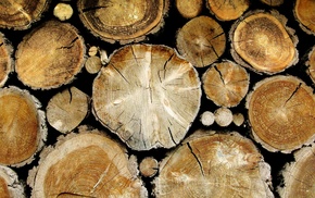 closeup, wooden surface, texture, timber, wood