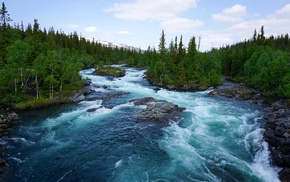 water, river, landscape, nature, trees