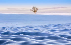 snow, landscape, trees, winter