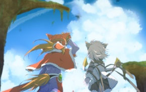 Solatorobo, furry