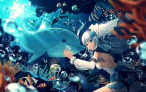 dauphin, original characters, water, dolphin, anime, anime girls