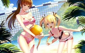 volleyball, twintails, Kasumi, Dead or Alive, ponytail, cleavage