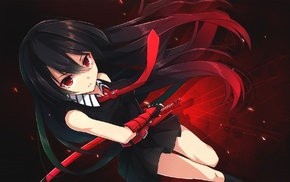 Akame ga Kill, long hair, anime girls, Akame, sword, anime